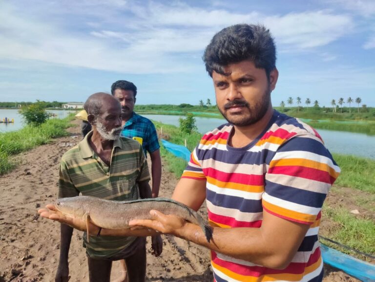 Aqua Harvesting